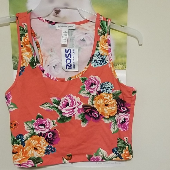 Ambiance Tops - Ambiance Apparel crop top